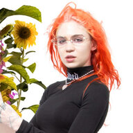 Grimes' Lice