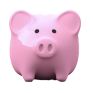 Piggy Bank