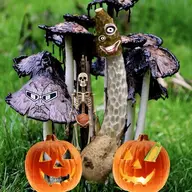 The Taste Of Cum Fungus
