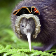 Blas de Kiwi