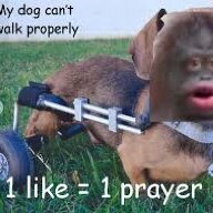 Munchie Monke