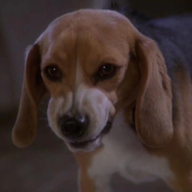 Porthos