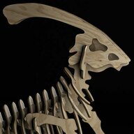 Parasaurolophus walkeri