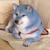 The Funny Blue Dog