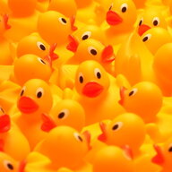 Erased Duck