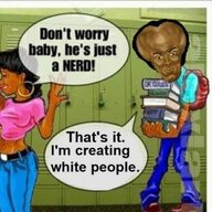 NiggalisDerio