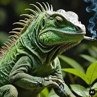 IguanaArts