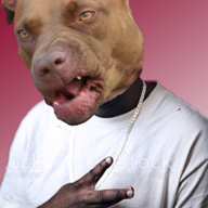 Mister_Pibbles