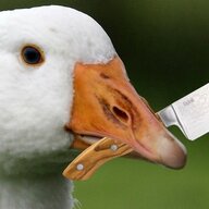 Cerebral_HonkLord