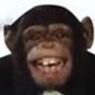 Old Fashioned Chimp