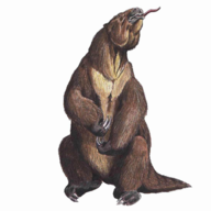 Megatherium