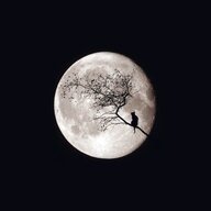 Child of the Moon