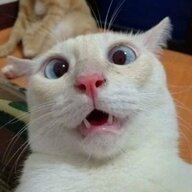 Fuggalope