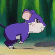 Rattus