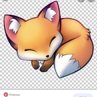Foxxey Woxxey