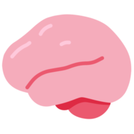 The Foldless Brain