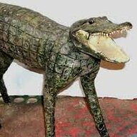 Dinosaur