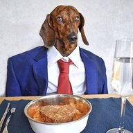 A Dog’s Dinner