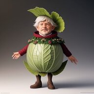Cabbage Farmer