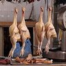 Chickenpolar