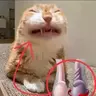mr. testicular torsion