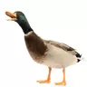 supremeautismo