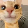 Reepicheep