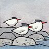 contradiction of terns