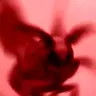Moths