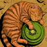 A Cat in a Minefield