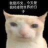 an retard
