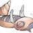 Dunsparce