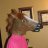 Horse Boots