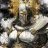 TheWhitestKnight