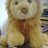 Lion-with-the-mouse