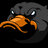 ducktor