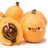 Golden Loquat
