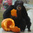 King of the Chimps