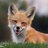 Foxx