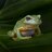 FrogMinutes
