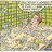 Jimmy Olsen