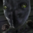 Mr Gray