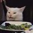 Vegan Cat