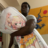 Nene's Husband