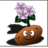Kartoffel