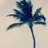respectful_forum_user1488