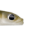 33l