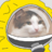 Download This Cat