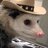 lolcowboy possum