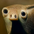Boopersnout